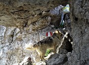 36 Dori ci precede in uscita dalla grotta sotto il masso